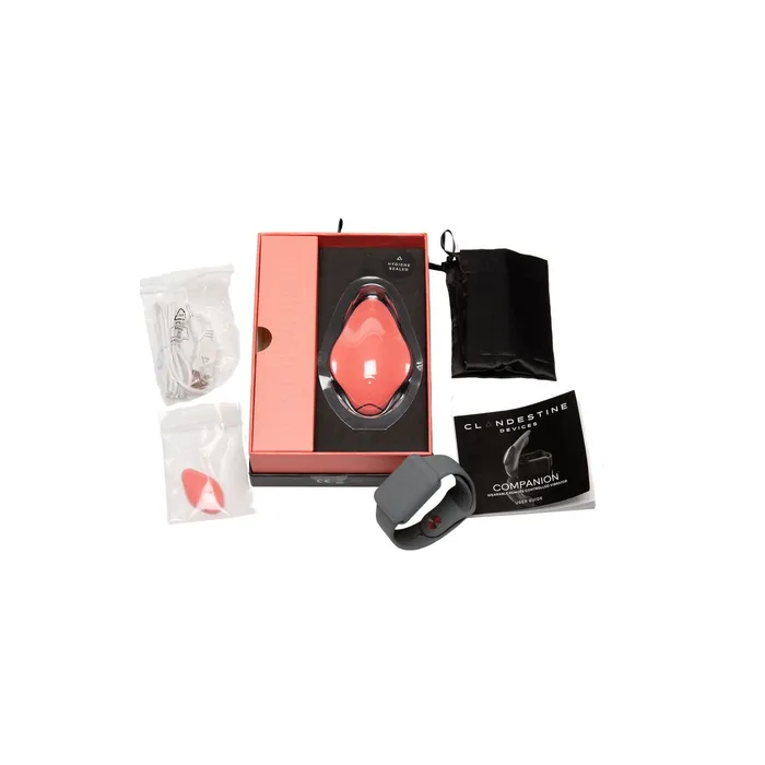 Clandestine Vibrators | Vibratore Clandestine Companion Arancio