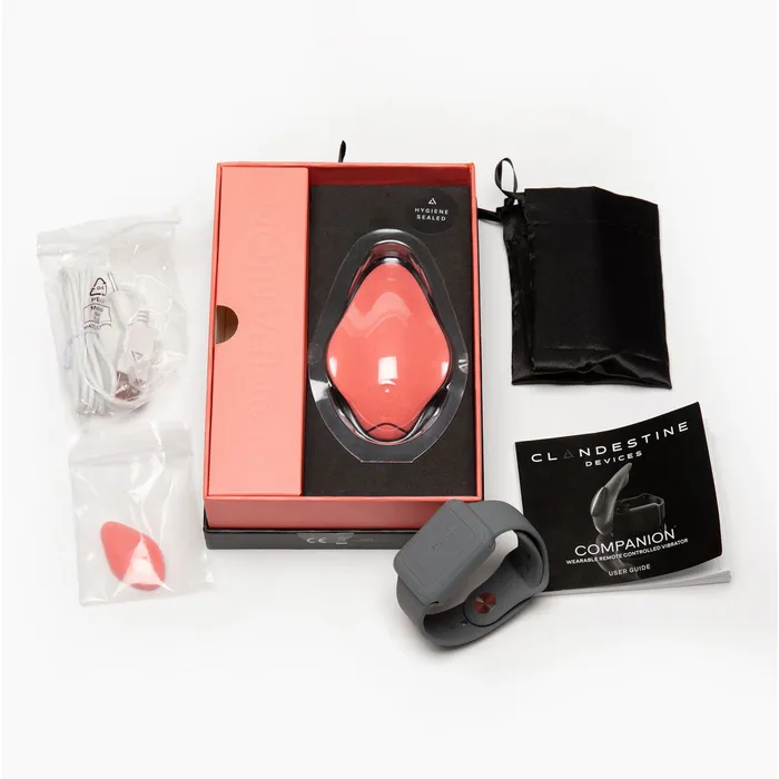 Clandestine Vibrators | Vibratore Clandestine Companion Arancio