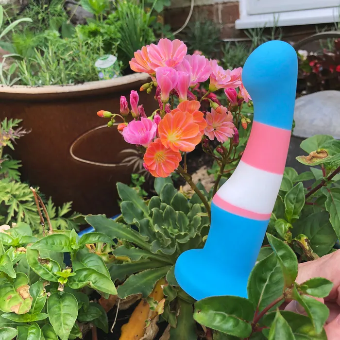 Dildo Blush Avant Multicolore | Blush Dildos