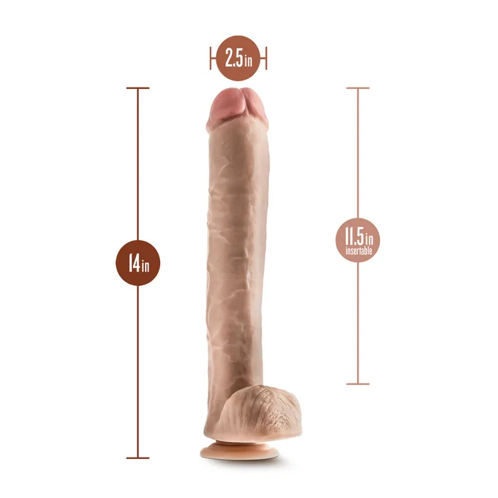 Dildos | Blush Dildo Realistico Blush Dr Skin PVC Ø 6,3 cm