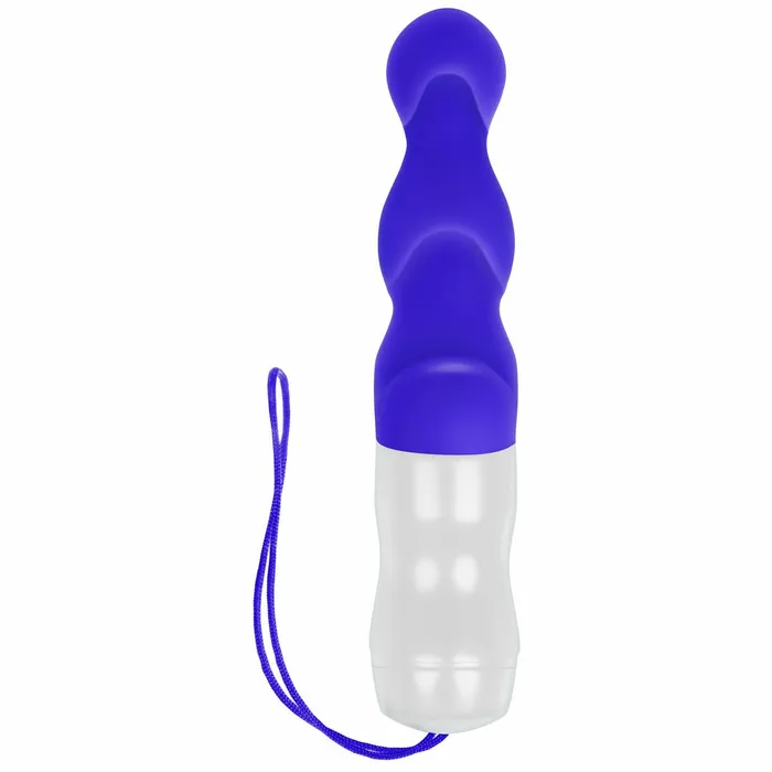 Evolved Vibrators | Vibratore Anale Cassini Nero Evolved Viola