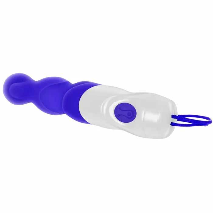 Evolved Vibrators | Vibratore Anale Cassini Nero Evolved Viola