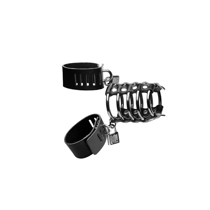 Gates of Hell Chastity Device | XR Brand Male Sex Toys