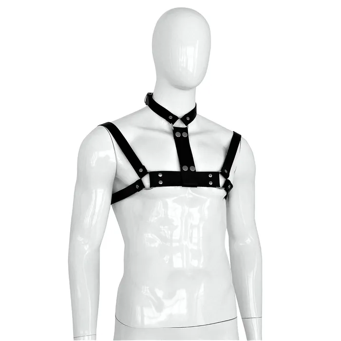 Kiotos - Collar - Luxe Zwart Leren Halsband met Borstriemen - Body Harnas - Riemenbody - Voor Mannen - Verstelbaar | Kiotos Female Sex Toys