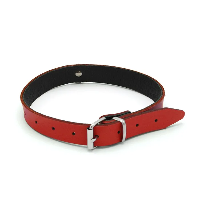 Kiotos Leather - Collar met Kleine O-ring - Leder - Rood | Kiotos Male Sex Toys