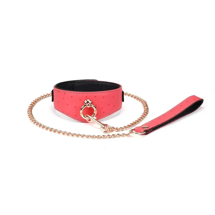 Liebe Seele Liebe Seele Angels Kiss Curved Collar Met Leash Luxe En exclusief ontwerp RozeZwartRos Goud Female Sex Toys