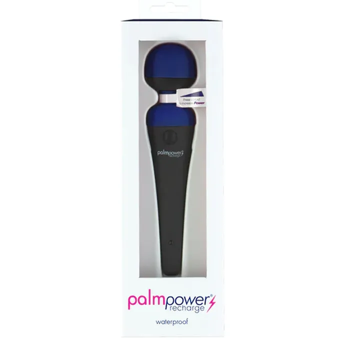 Palm Power Recharge Wand Massager BMS Enterprises Female Sex Toys