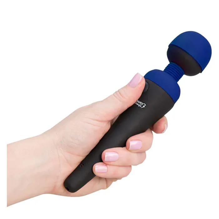 Palm Power Recharge Wand Massager | BMS Enterprises Female Sex Toys