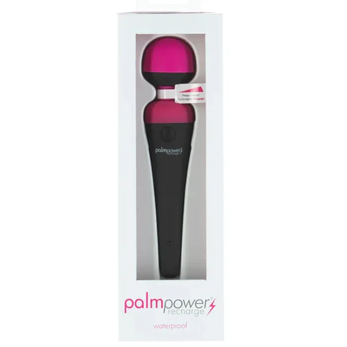 Palm Power Recharge Wand Massager | BMS Enterprises Female Sex Toys